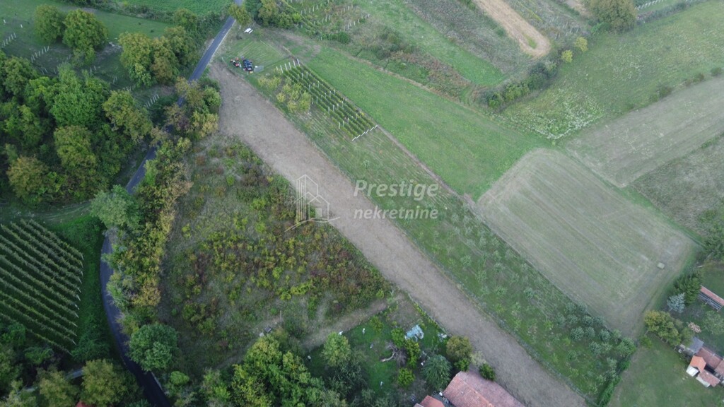 Image 6216346 - 9