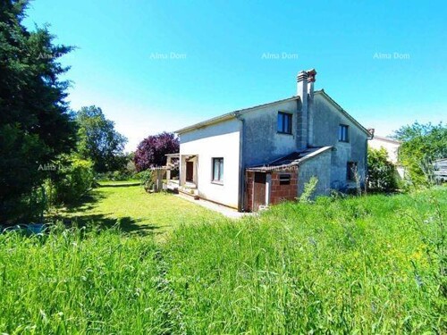 Thumbnail 6216423 - 3