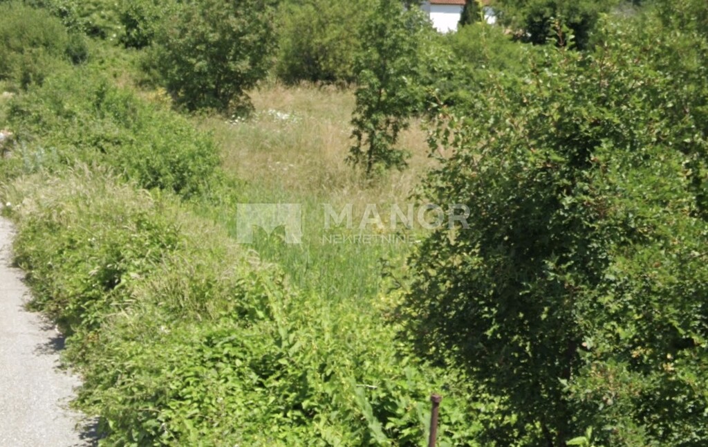 Image 6216490 - 1