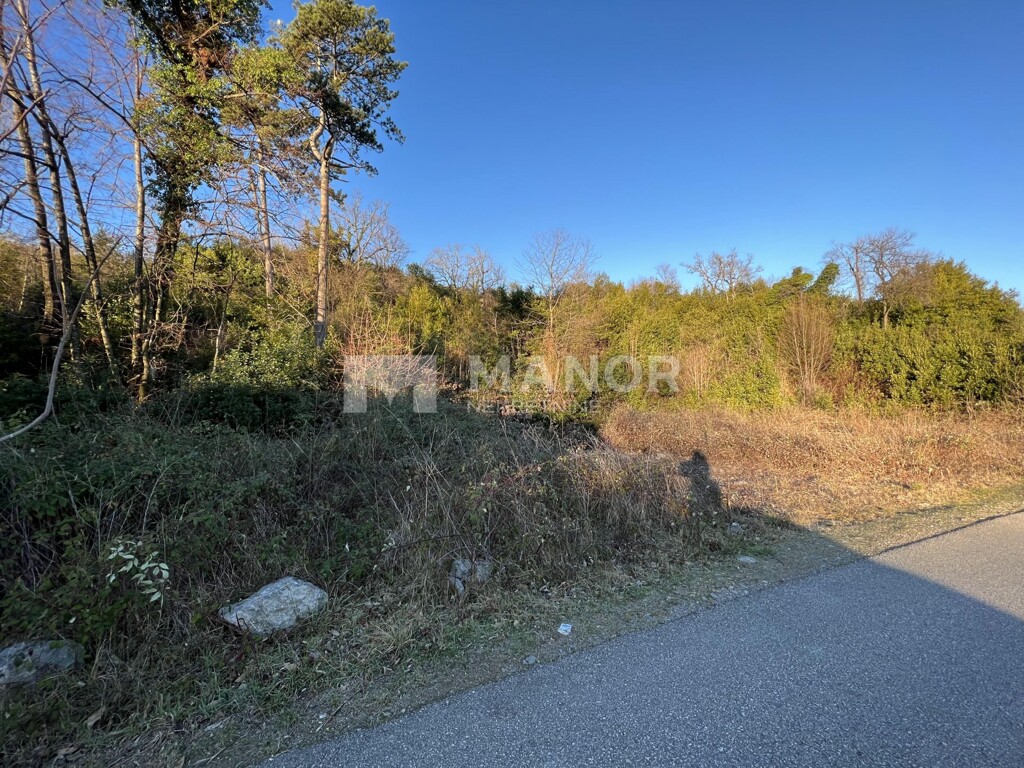 Image 6216499 - 1
