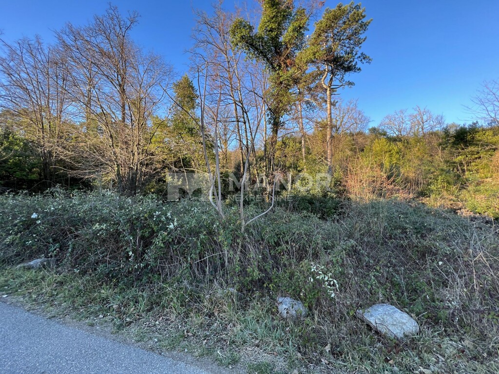 Image 6216499 - 3