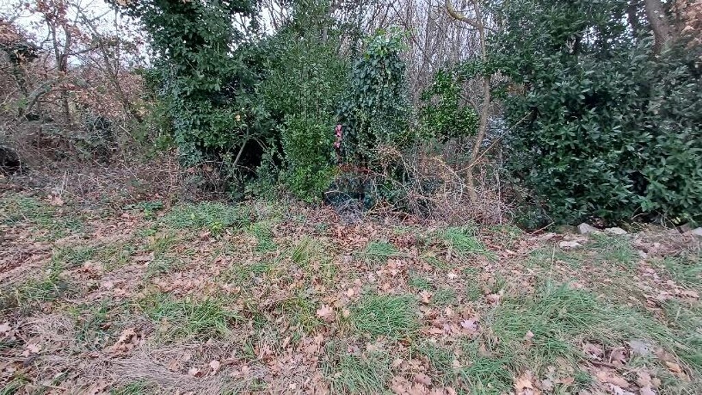 Image 6216514 - 6