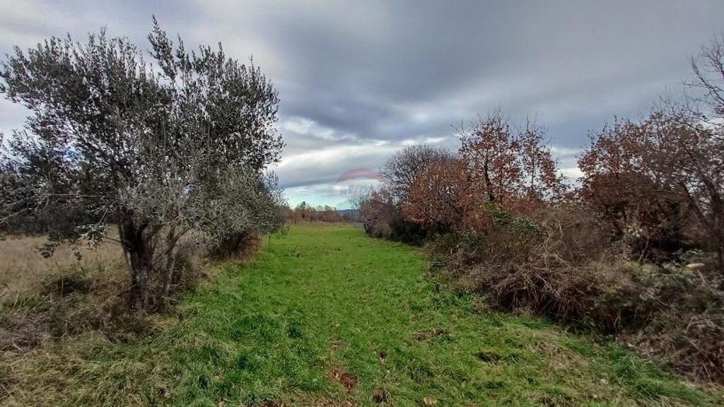 Image 6216514 - 1