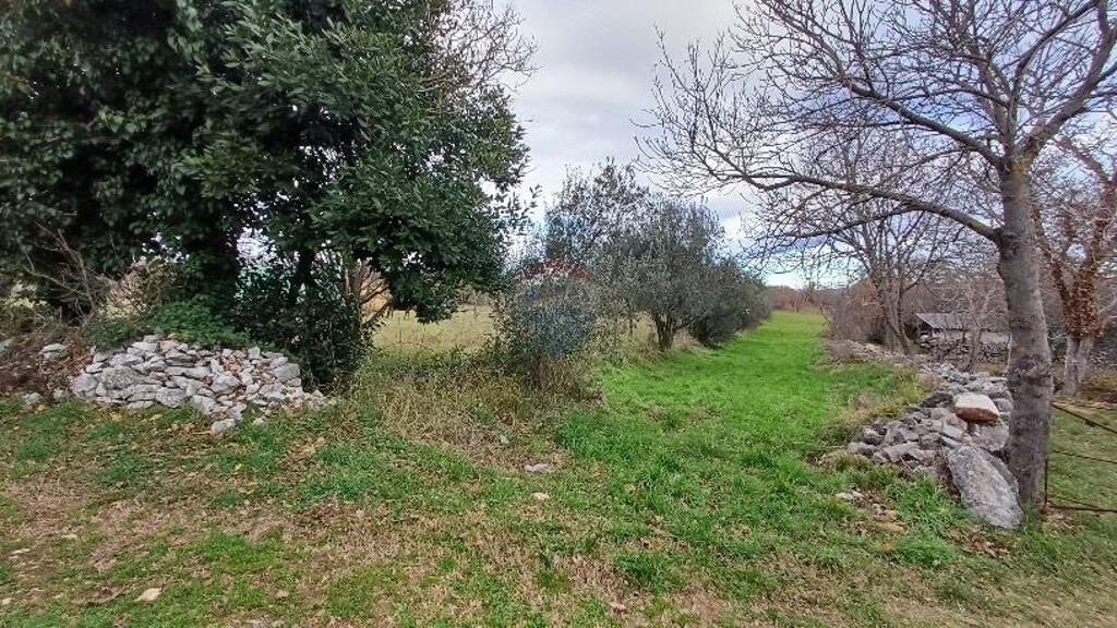 Image 6216514 - 12