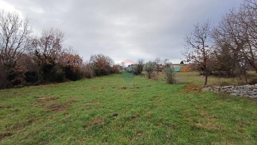 Image 6216514 - 5