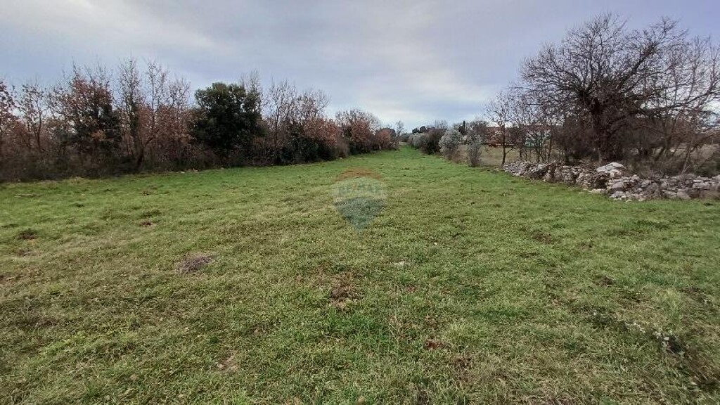 Image 6216514 - 3