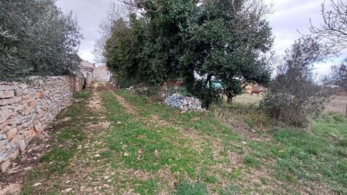 Thumbnail 6216514 - 11