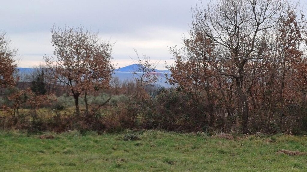 Image 6216514 - 2