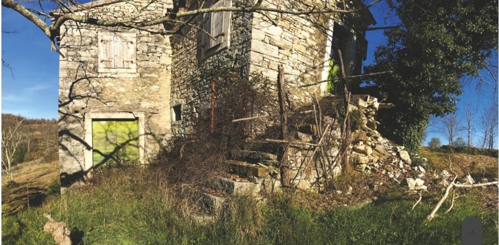 Image 6216533 - 4