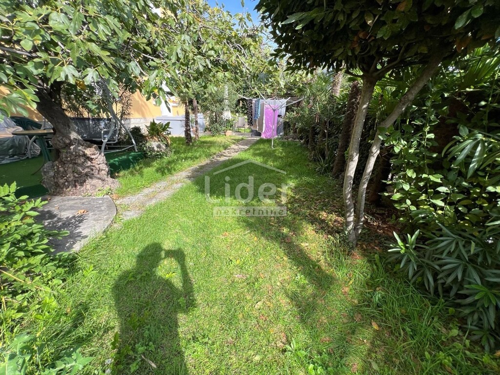 Image 6216895 - 9