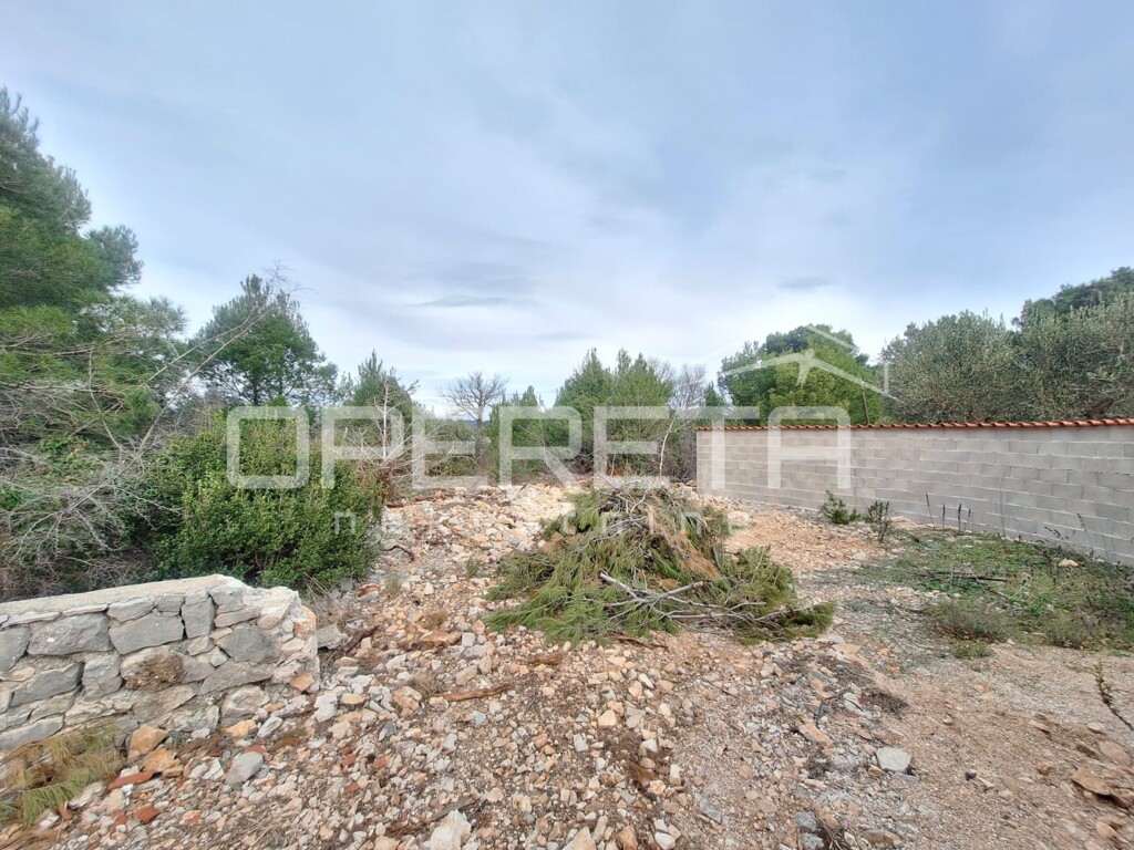 Image 6216995 - 1