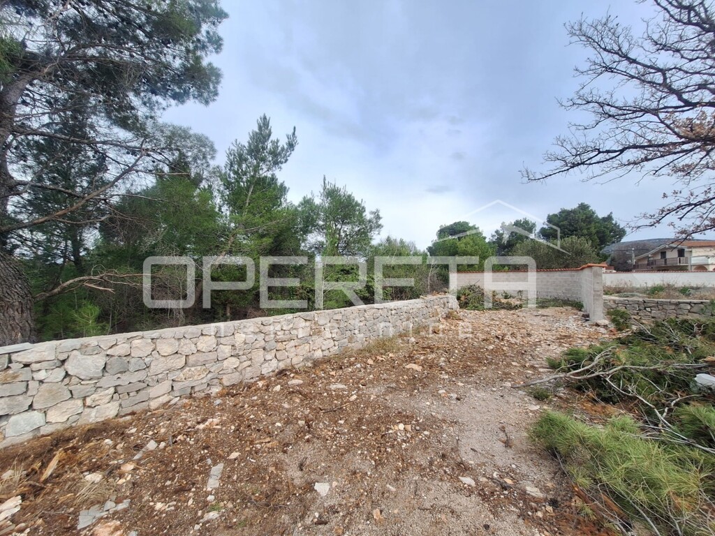 Image 6216995 - 2