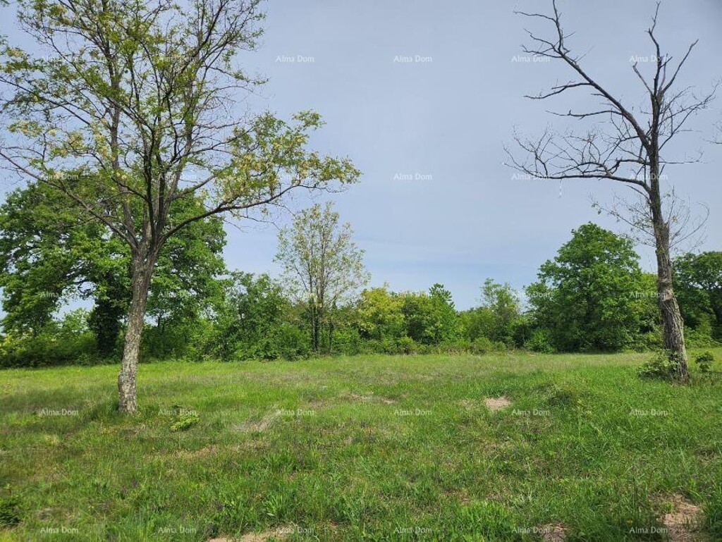 Image 6217026 - 8
