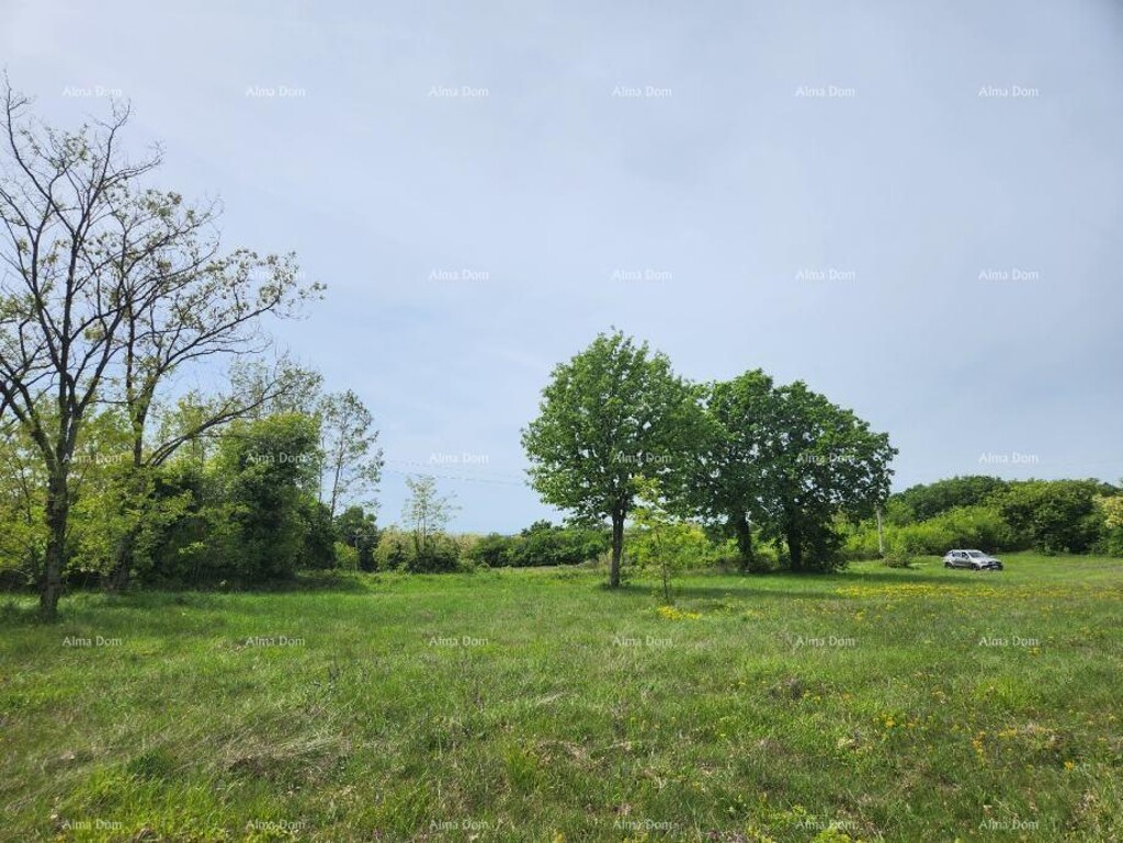 Image 6217026 - 3