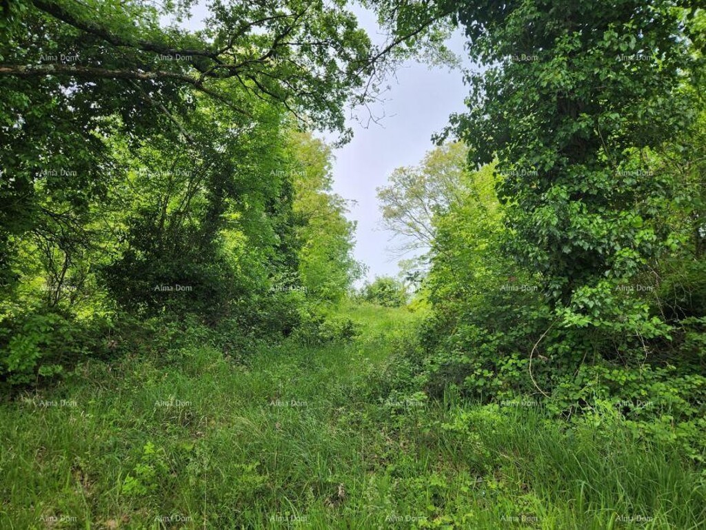 Image 6217026 - 2