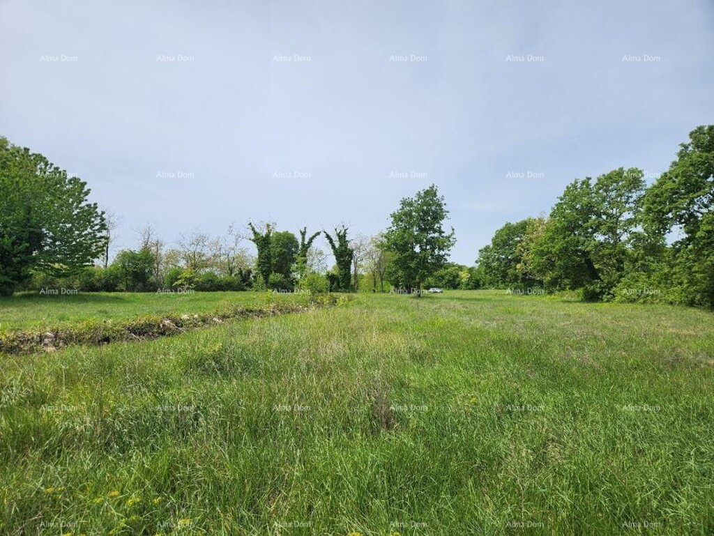 Image 6217026 - 15