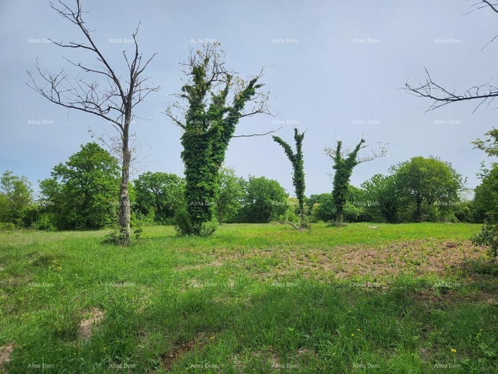 Image 6217026 - 6