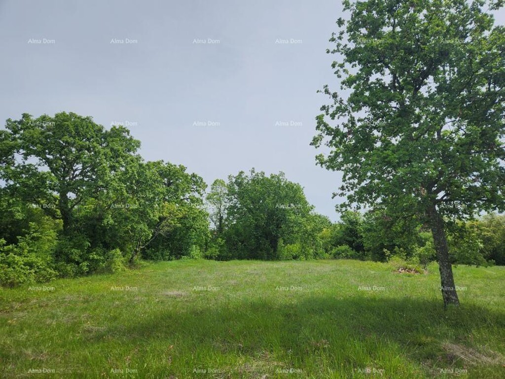 Image 6217026 - 5