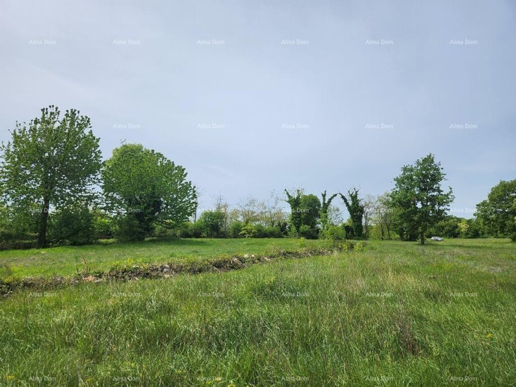 Image 6217026 - 4