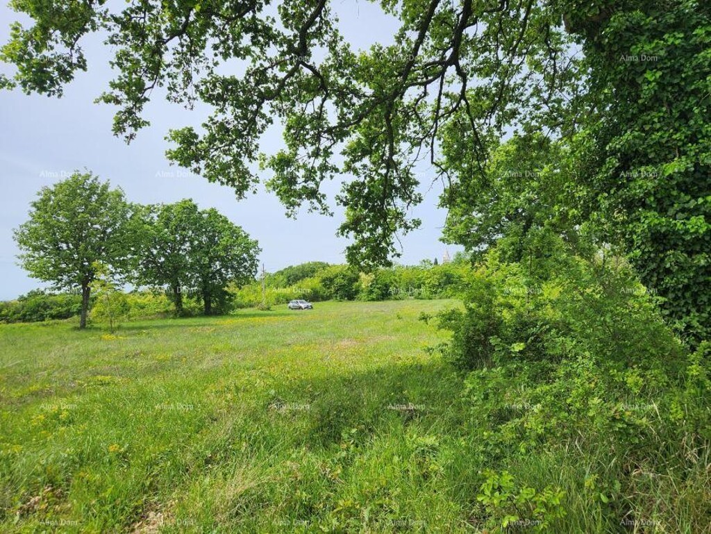 Image 6217026 - 13