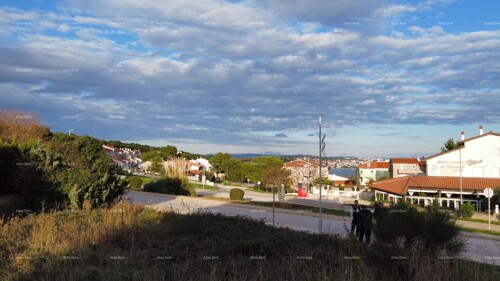 Thumbnail 6217031 - 3