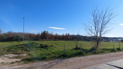Thumbnail 6217060 - 2