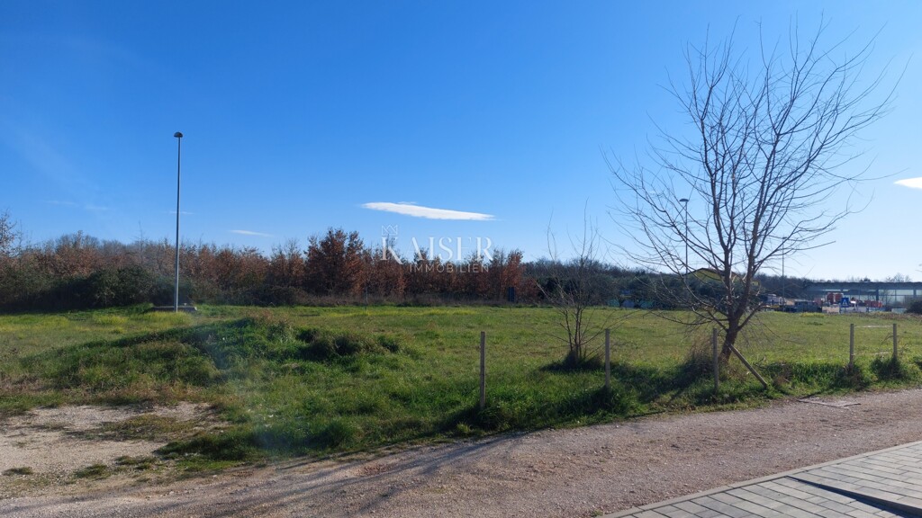 Image 6217060 - 2
