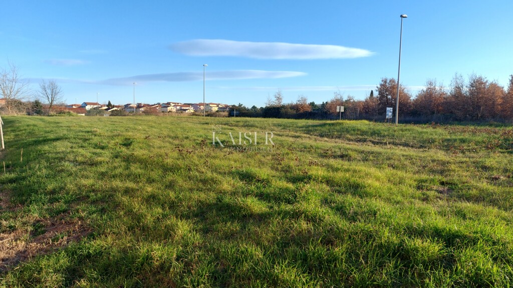 Image 6217060 - 1