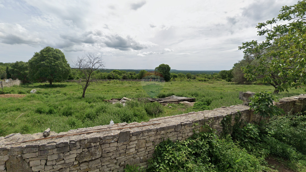 Image 6217161 - 2