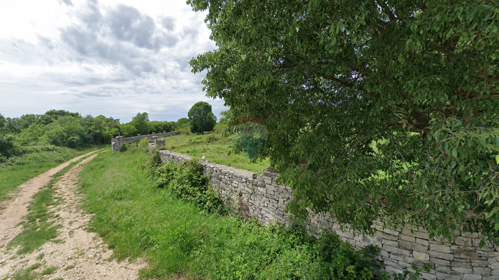 Image 6217161 - 4