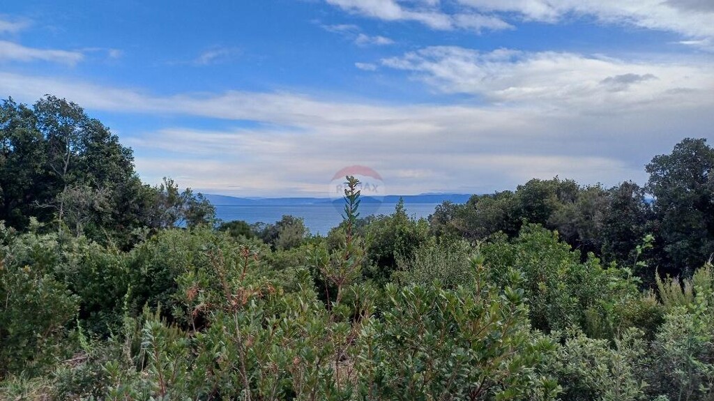 Image 6217163 - 5