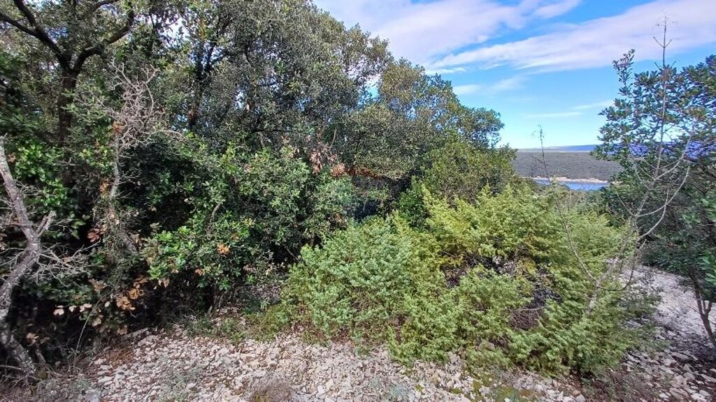 Image 6217163 - 9
