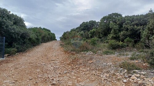 Thumbnail 6217163 - 3