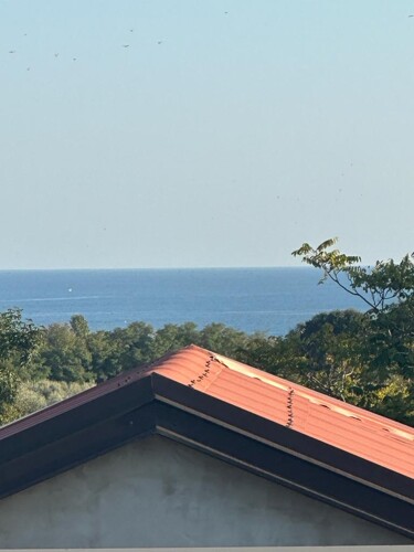 Samostojeća prizemnica na dobroj lokaciji, Medulin, Istra