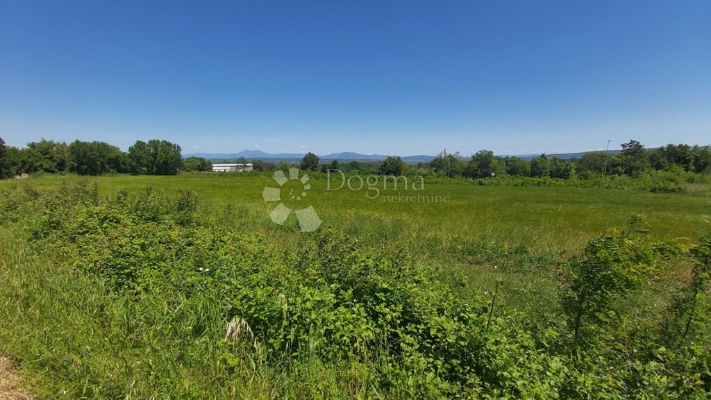 Image 6217376 - 1