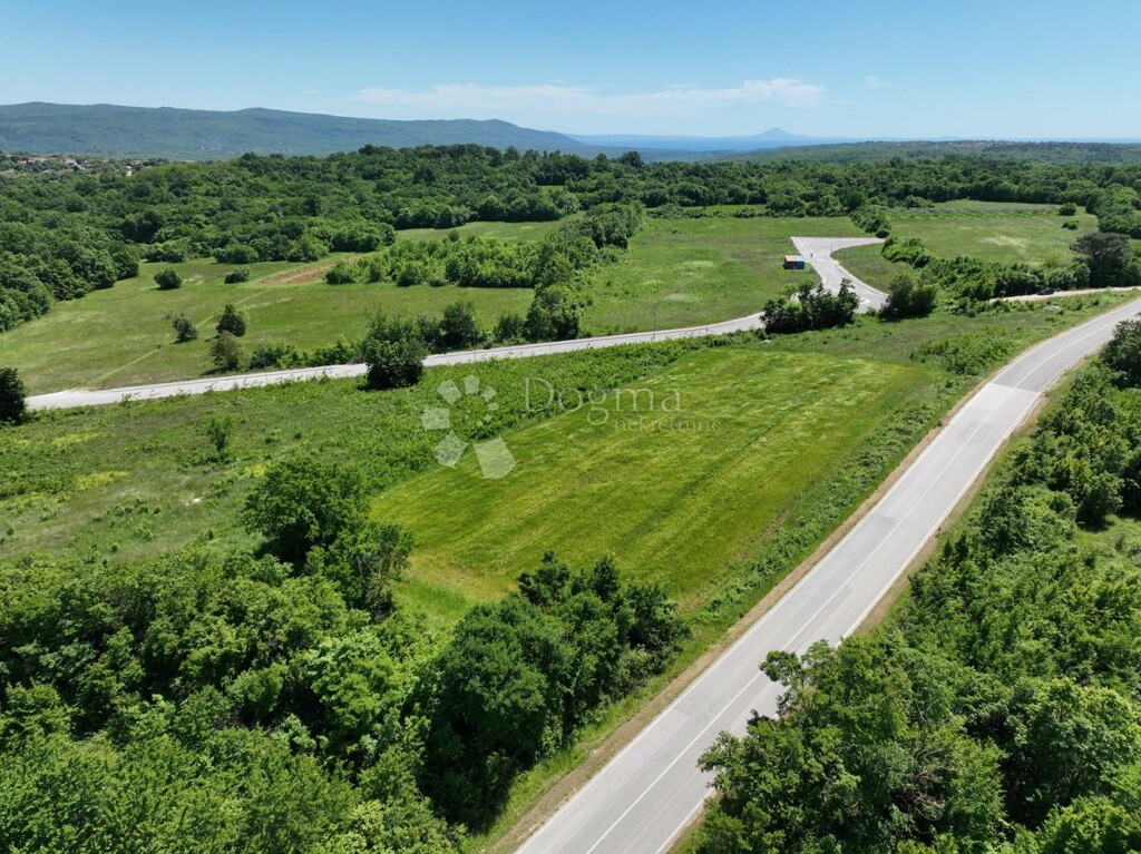 Image 6217376 - 3