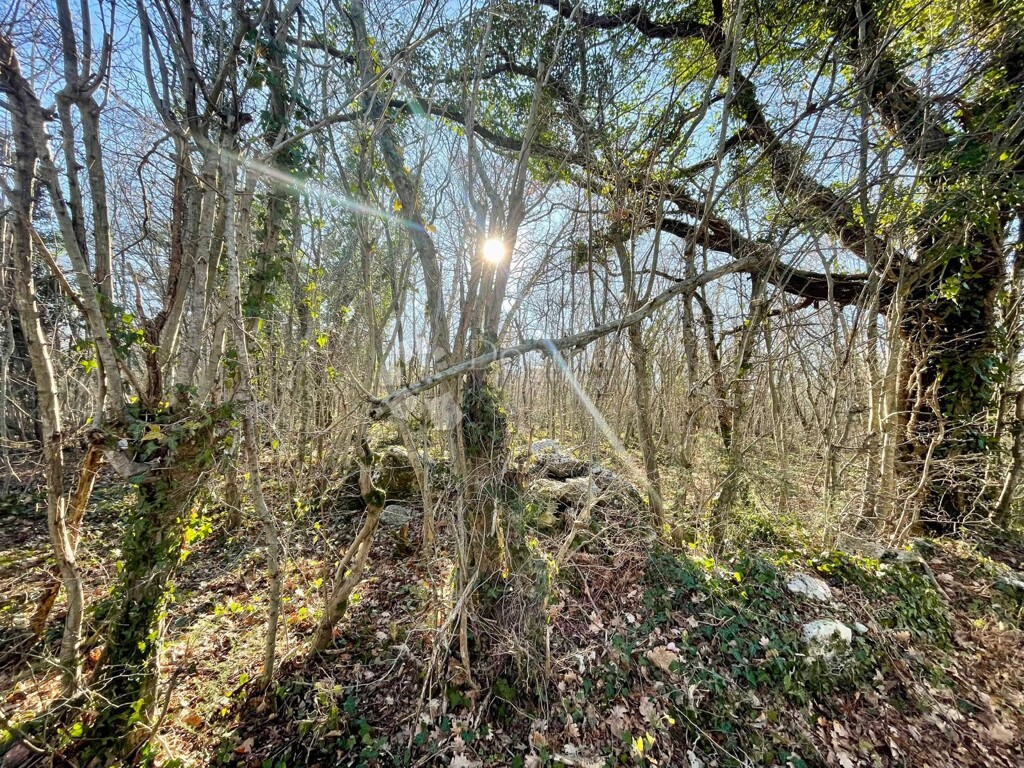 Image 6217379 - 9