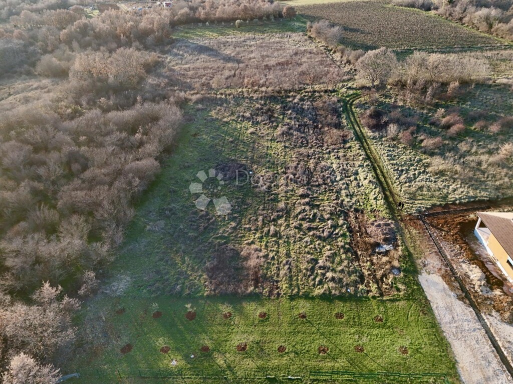 Image 6217380 - 3