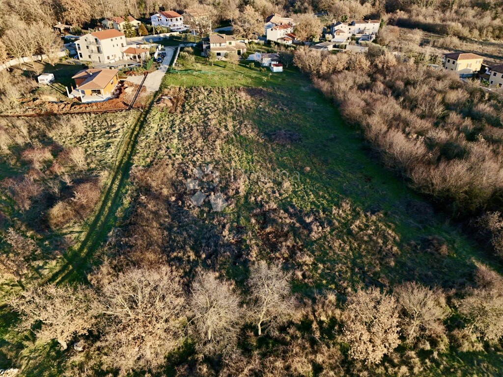 Image 6217380 - 1