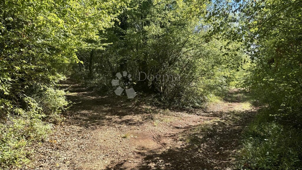 Image 6217397 - 3