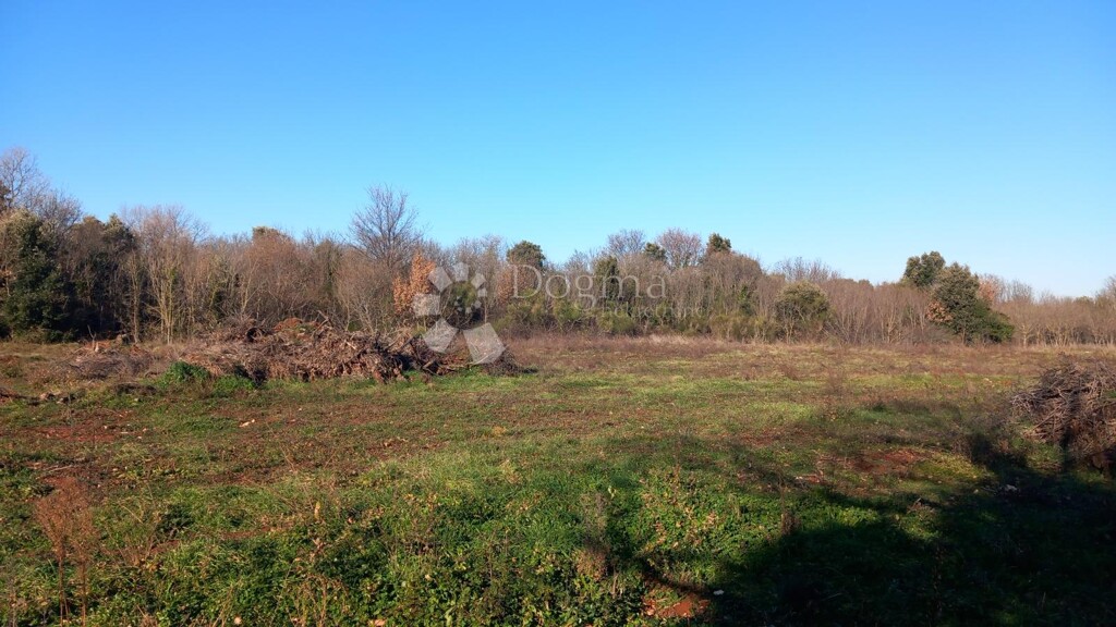 Image 6217399 - 5