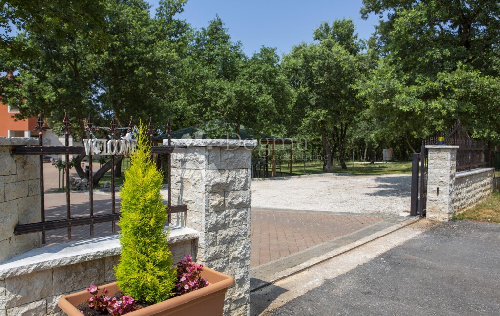 Image 6217400 - 5