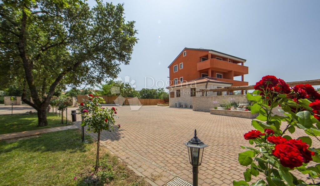 Image 6217400 - 4