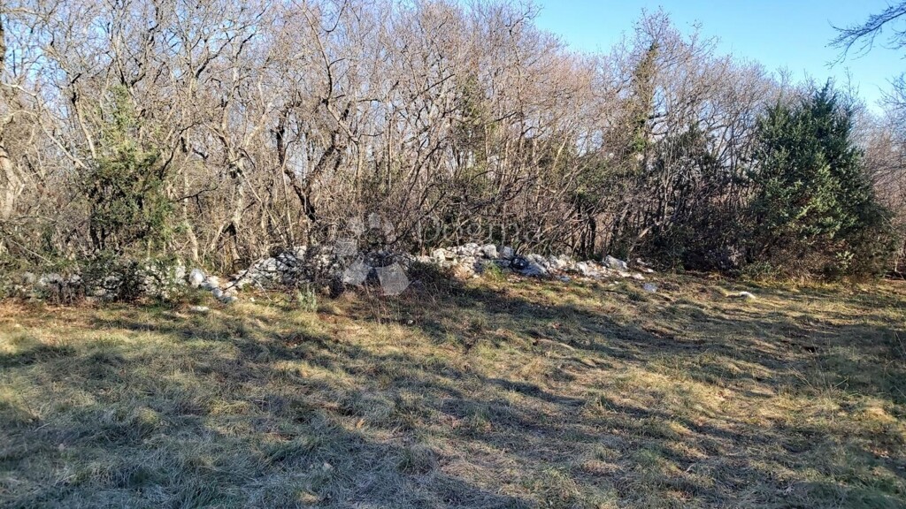 Image 6217401 - 2