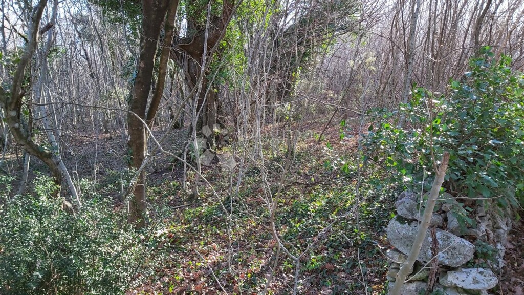 Image 6217401 - 8
