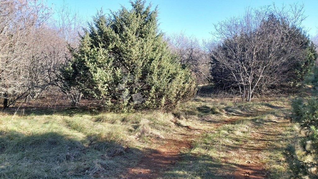 Image 6217401 - 5