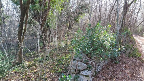 Thumbnail 6217401 - 7