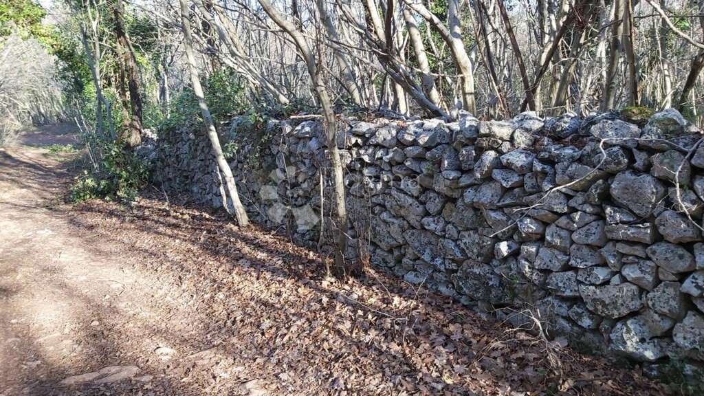 Image 6217401 - 6
