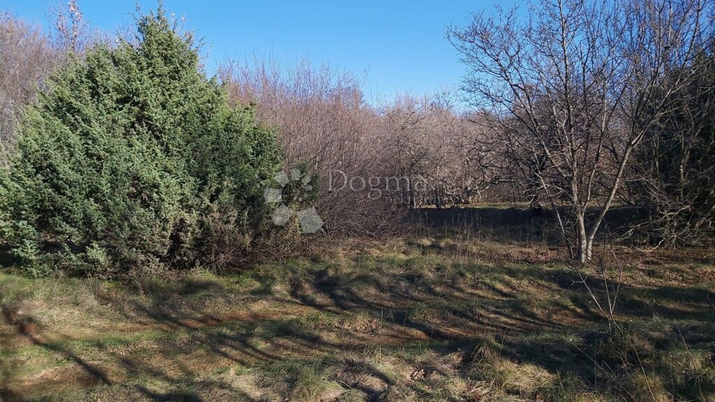 Image 6217401 - 4