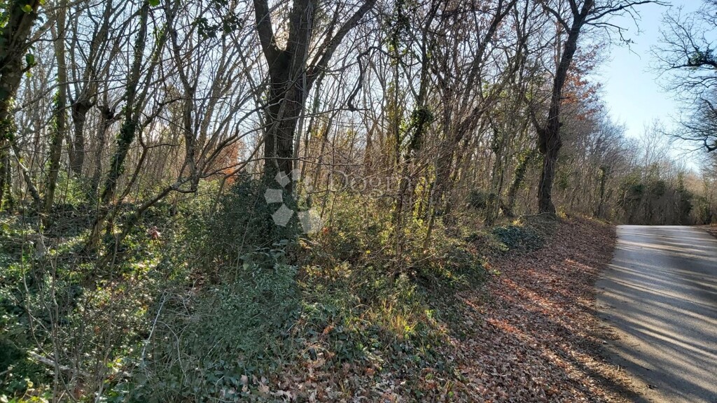 Image 6217403 - 2